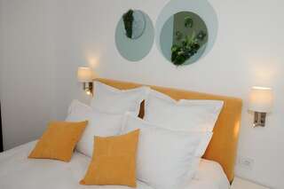 Гостевой дом Arce Boutique Hotel Брашов Двухместный номер Делюкс с 1 кроватью-5