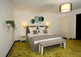 Гостевой дом Arce Boutique Hotel Брашов Номер Делюкс с кроватью размера «king-size»-8