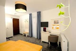 Гостевой дом Arce Boutique Hotel Брашов Двухместный номер Делюкс с 1 кроватью-7