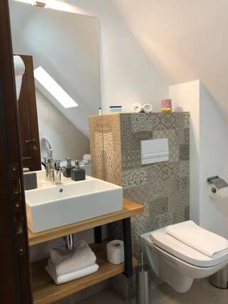 Гостевой дом Arce Boutique Hotel Брашов Стандартный номер с кроватью размера "king-size"-2