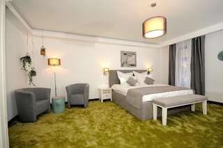 Гостевой дом Arce Boutique Hotel Брашов Номер Делюкс с кроватью размера «king-size»-28
