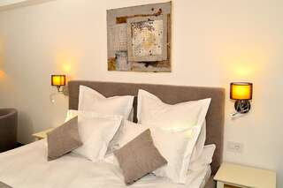 Гостевой дом Arce Boutique Hotel Брашов Номер Делюкс с кроватью размера «king-size»-34