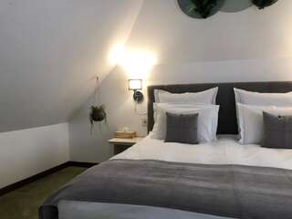 Гостевой дом Arce Boutique Hotel Брашов Стандартный номер с кроватью размера "king-size"-3